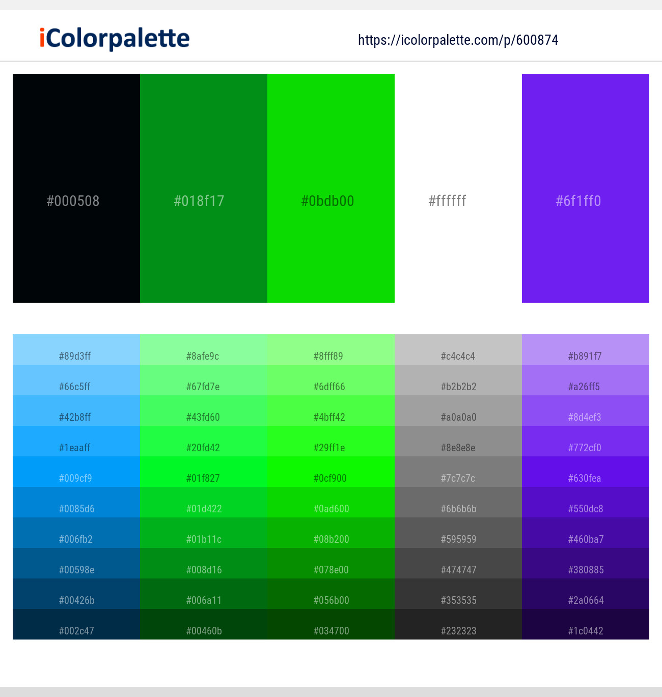 Blue Charcoal – Japanese Laurel – Green – White – Electric Violet Color scheme