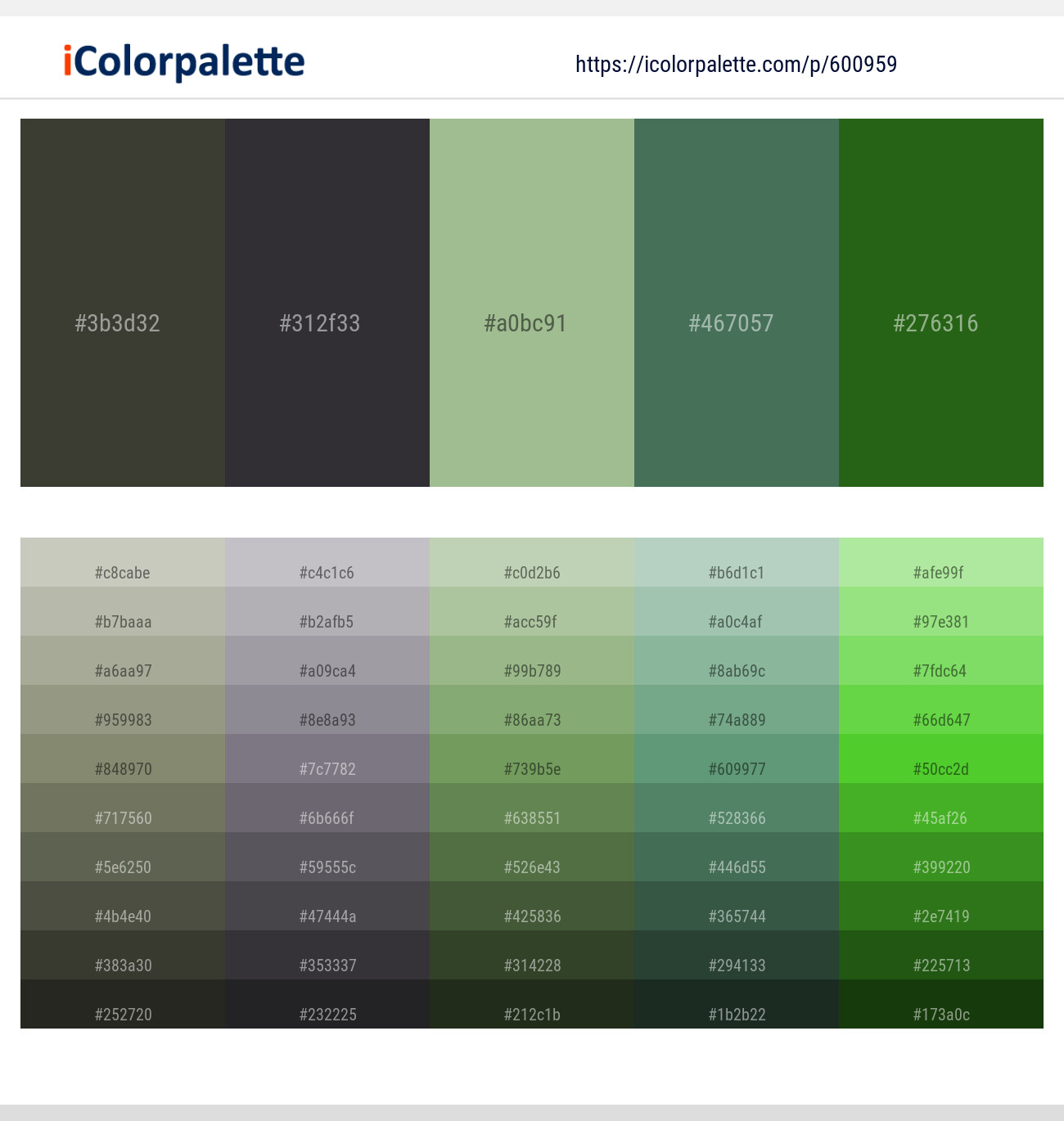 Kelp – Baltic Sea – Norway – Amazon – Green House Color scheme