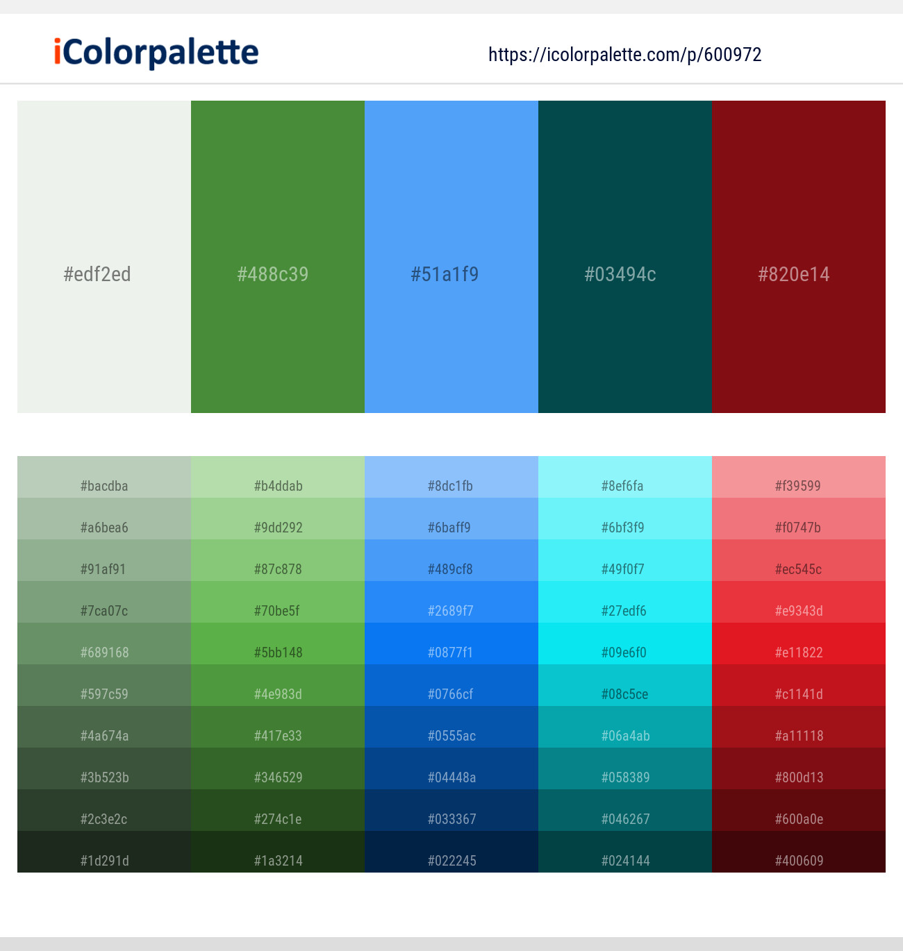 Gray Nurse – Fern Green – Cornflower Blue – Sherpa Blue – Monarch Color scheme