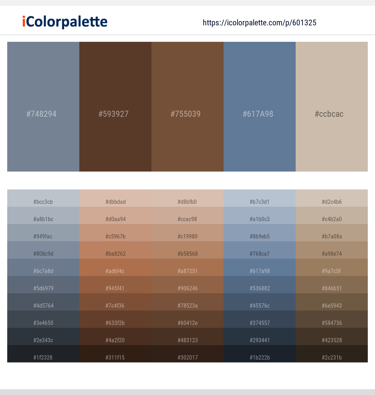 Slate Gray – Irish Coffee – Old Copper – Lynch – Vanilla Color scheme