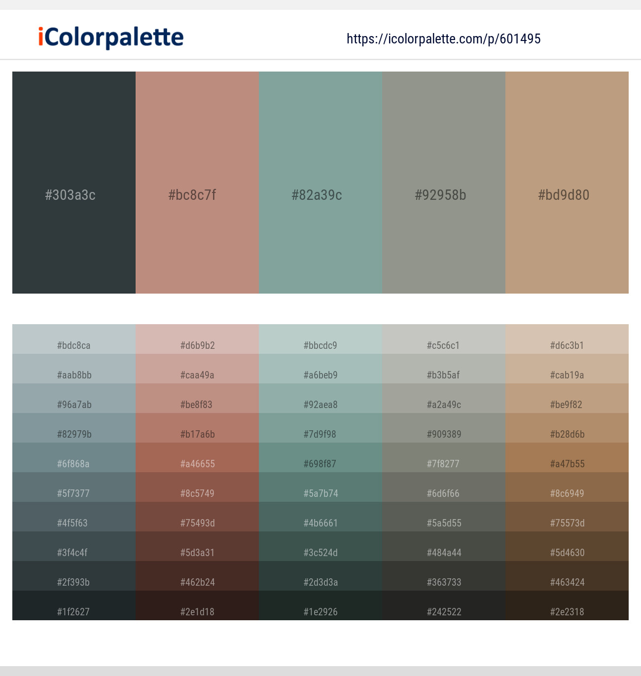 Outer Space – Brandy Rose – Sea Nymph – Lemon Grass – Mongoose Color scheme