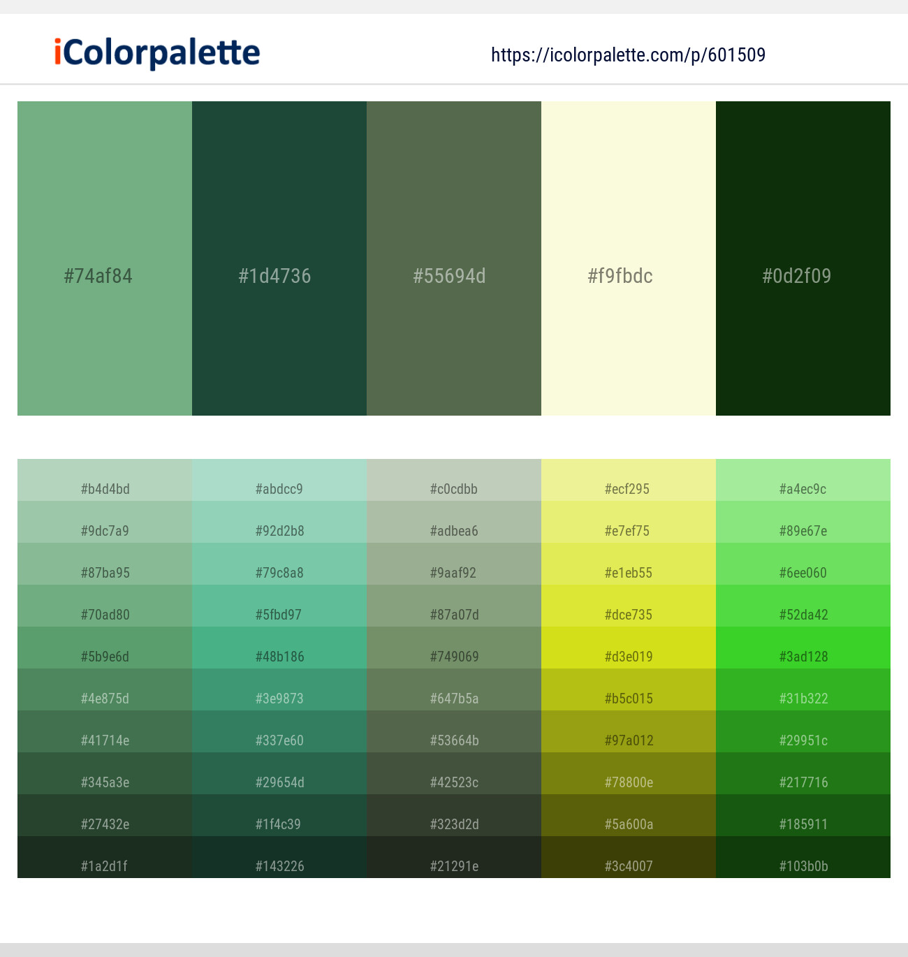 Bay Leaf – Everglade – Axolotl – Hint of Yellow – Palm Leaf Color scheme