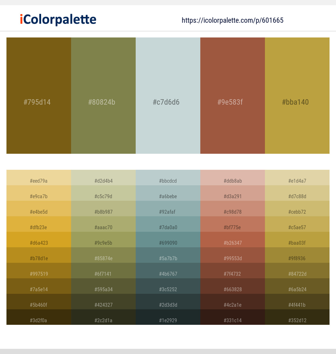 Spicy Mustard – Go Ben – Tiara – Sepia Skin – Roti Color scheme