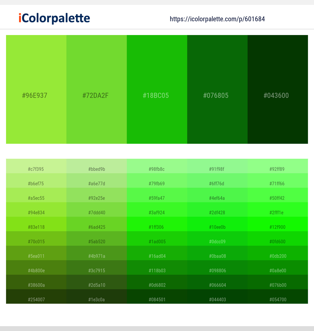 Conifer – Lima – La Palma – Japanese Laurel – Deep Fir Color scheme