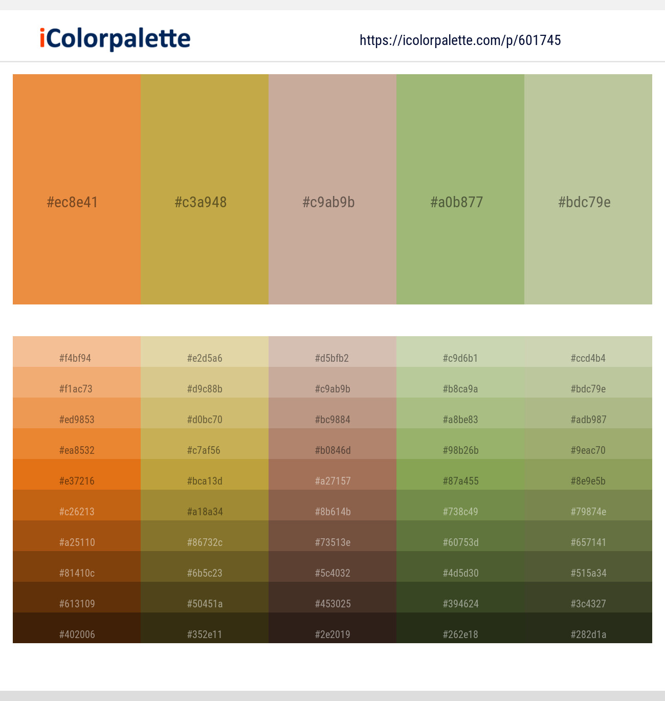 Jaffa – Roti – Rodeo Dust – Olivine – Coriander Color scheme