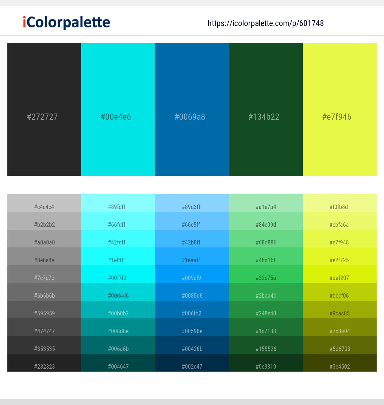 Mine Shaft – Bright Turquoise – Allports – Parsley – Starship Color scheme
