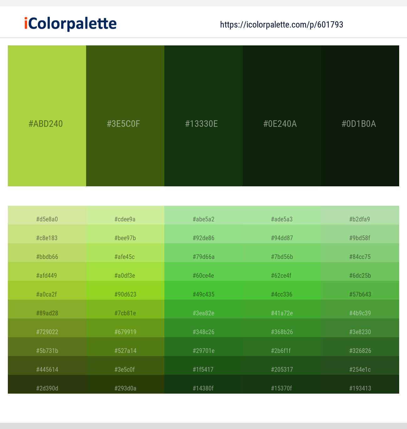 Conifer – Dell – Palm Leaf – Palm Leaf – Gordons Green Color scheme
