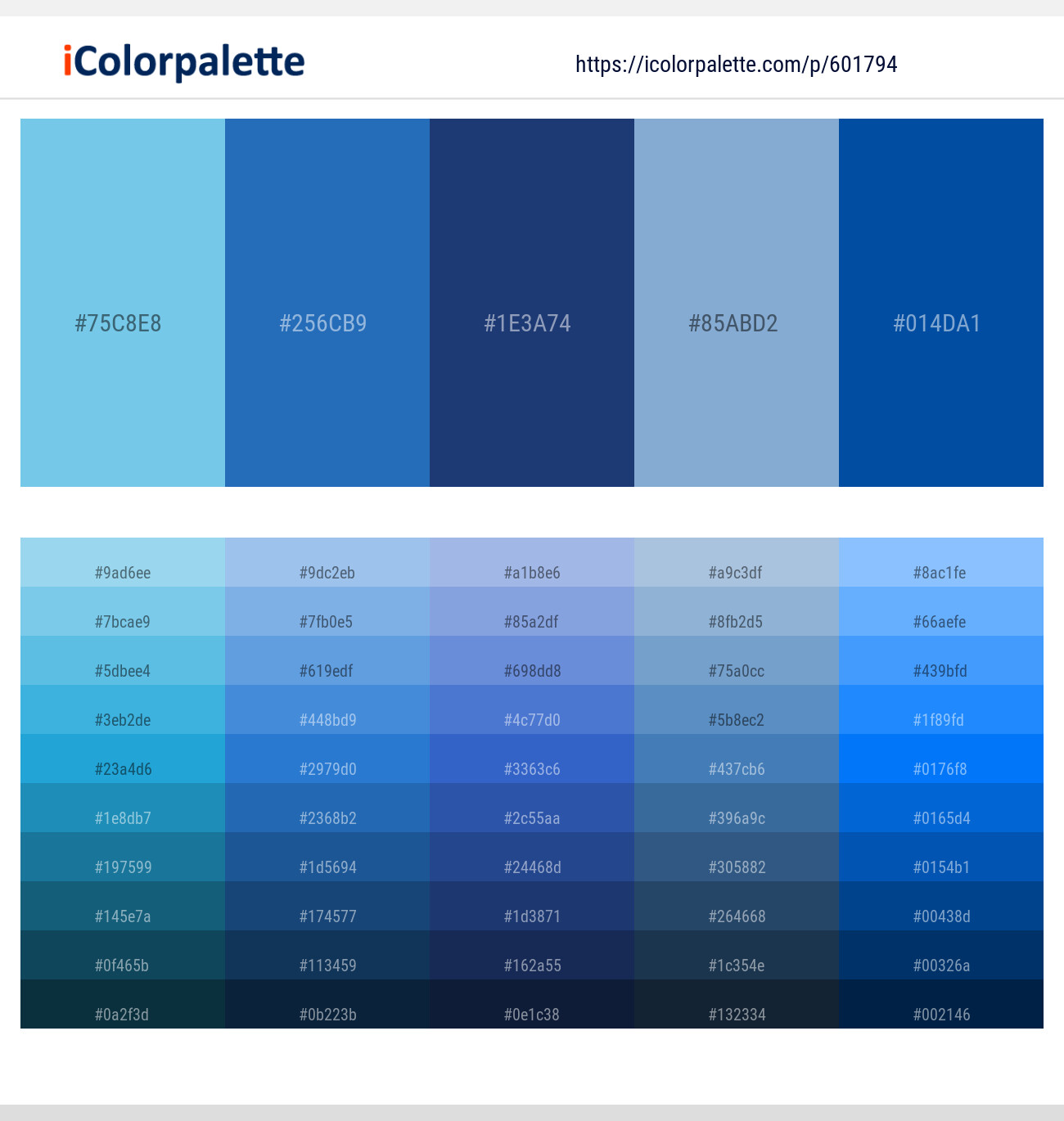 Seagull – Mariner – Astronaut – Polo Blue – Endeavour Color scheme