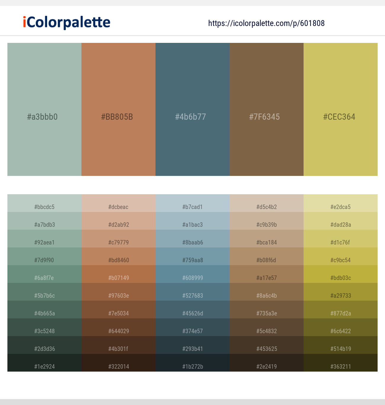 Summer Green – Muddy Waters – Blue Bayoux – Tobacco Brown – Tacha Color scheme