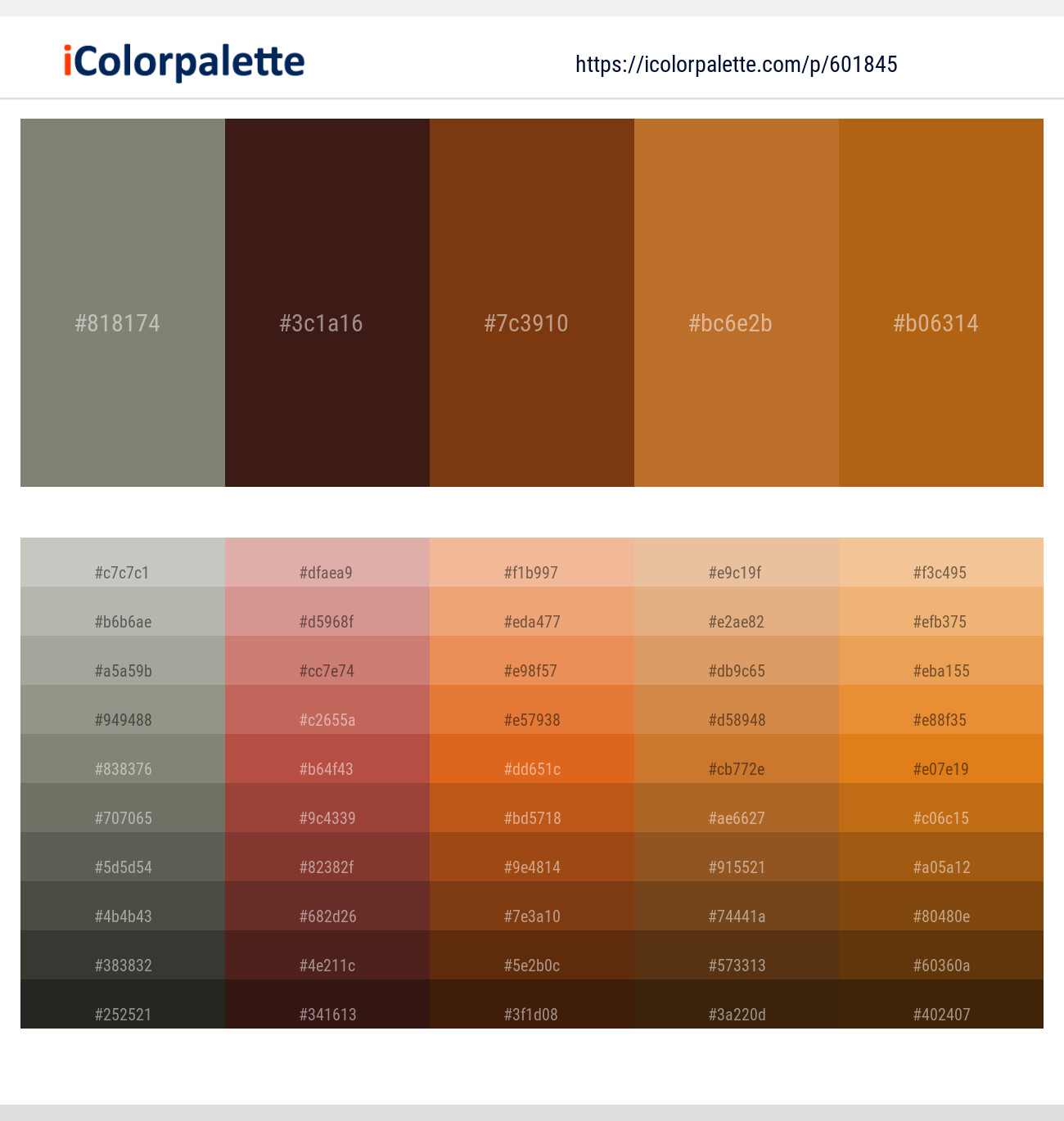 Bandicoot – Cedar – Copper Canyon – Copper – Reno Sand Color scheme