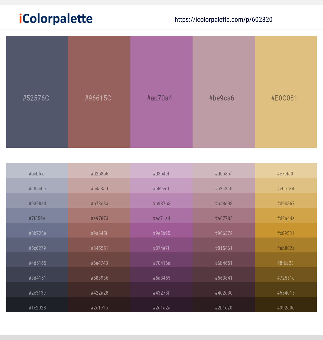Comet – Au Chico – Bouquet – Viola – Gold Sand Color scheme
