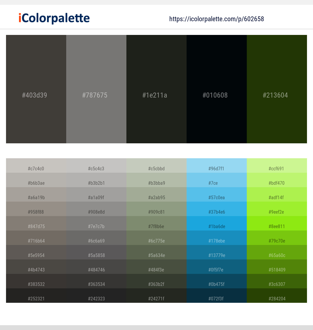 Merlin – Concord – Log Cabin – Blue Charcoal – Pine Tree Color scheme