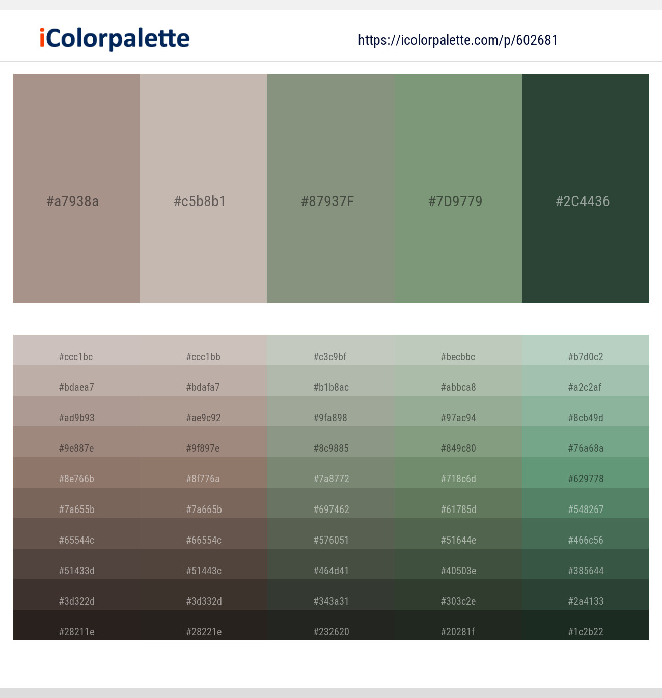 Zorba – Silver Rust – Battleship Gray – Laurel – Everglade Color scheme