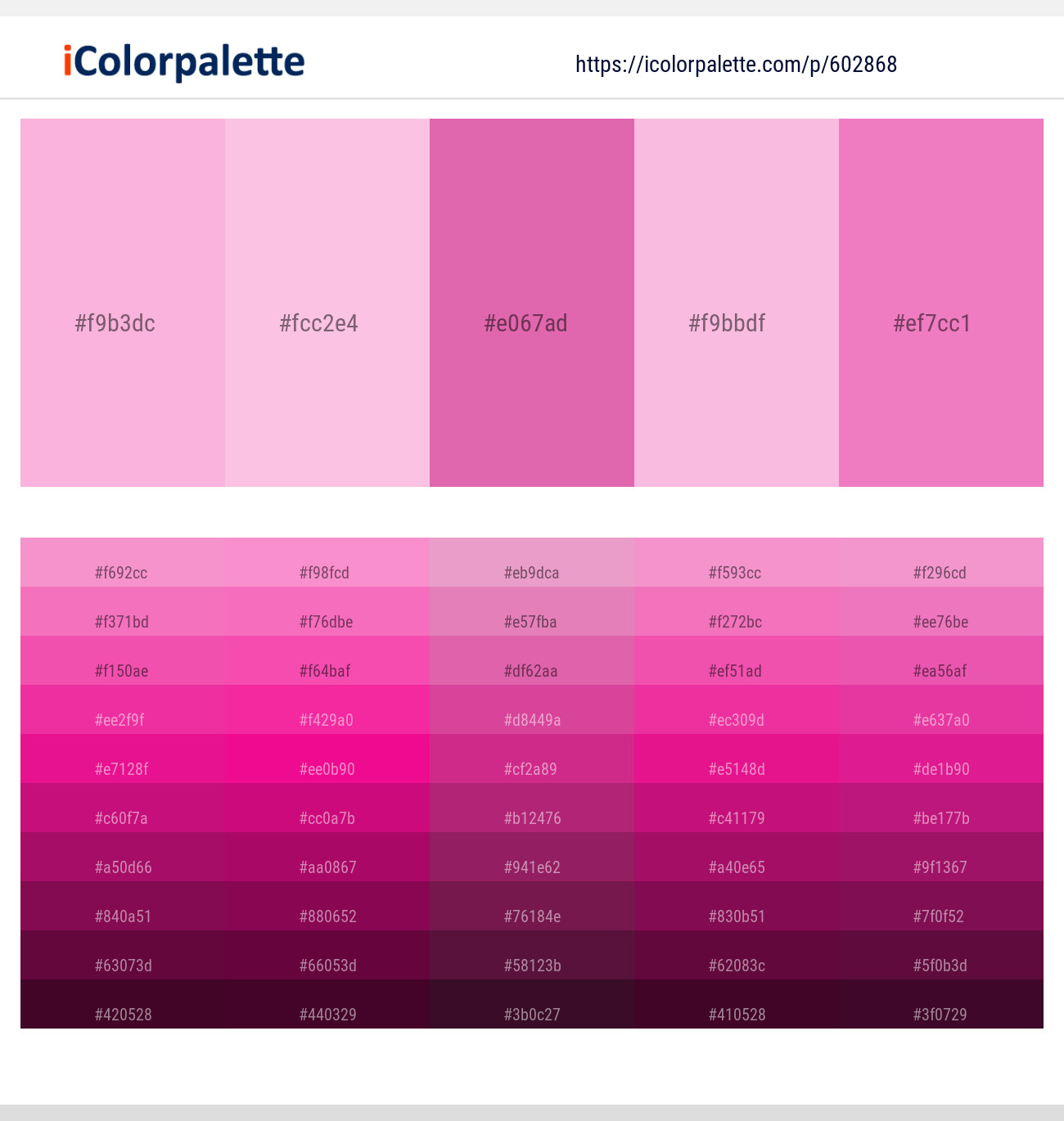 Cupid – Classic Rose – Hopbush – Chantilly – Persian Pink Color scheme