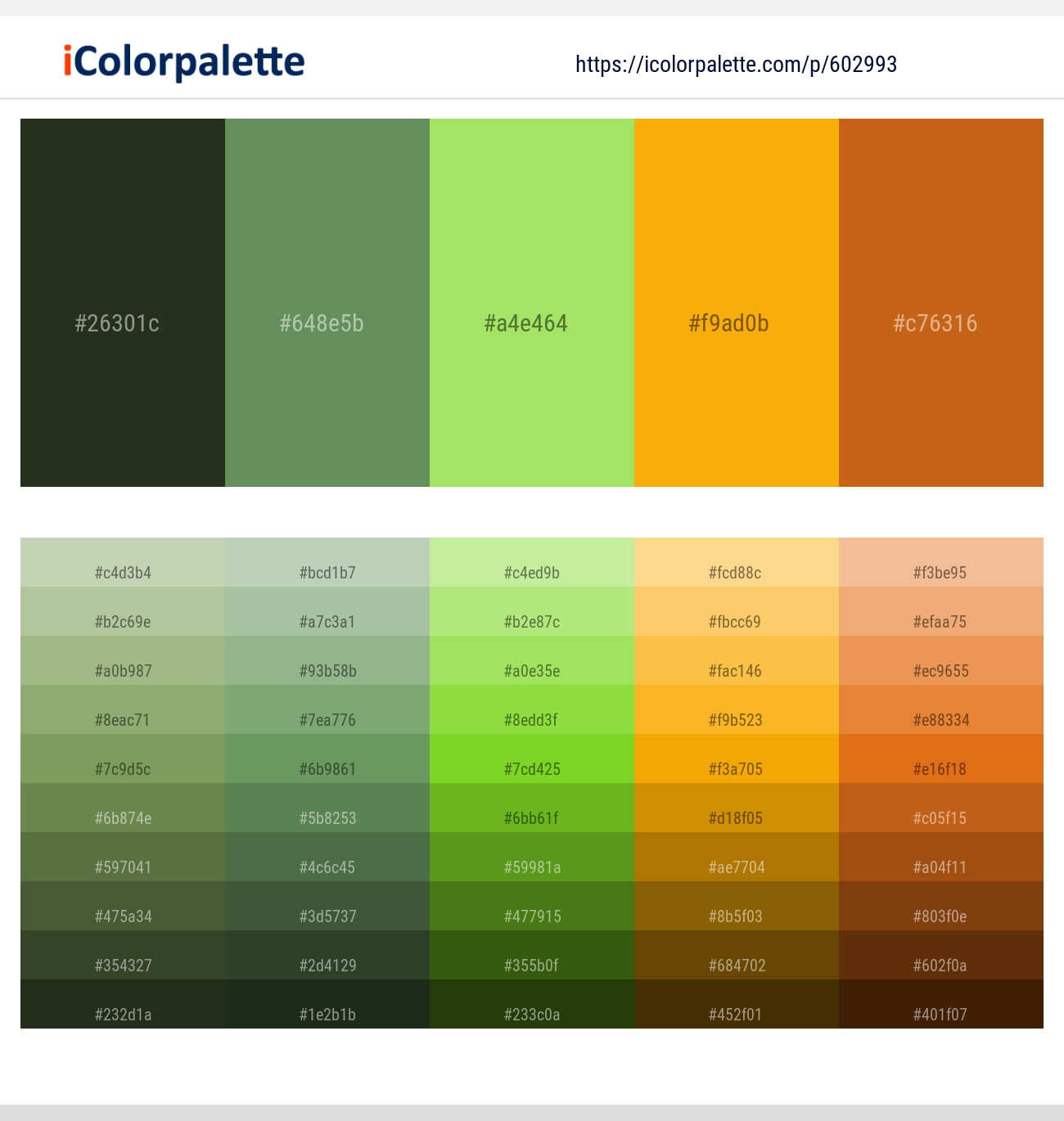 Green Kelp – Highland – Conifer – Sun – Orange Roughy Color scheme