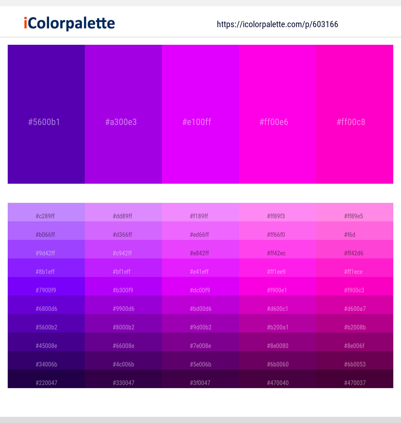 Purple – Electric Violet – Magenta / Fuchsia – Magenta / Fuchsia – Purple Pizzazz Color scheme