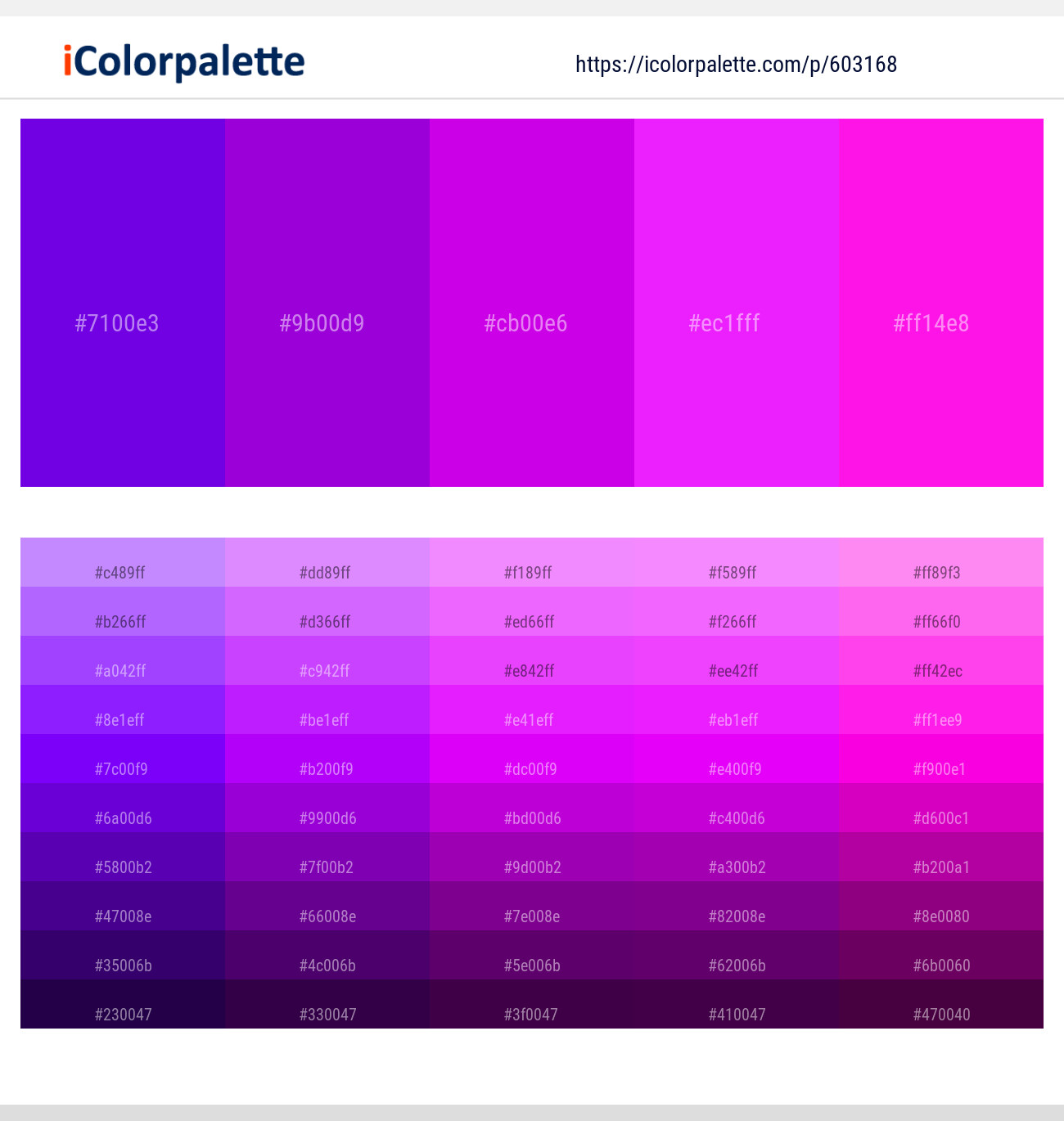 Electric Violet – Electric Violet – Magenta / Fuchsia – Magenta / Fuchsia – Magenta / Fuchsia Color scheme