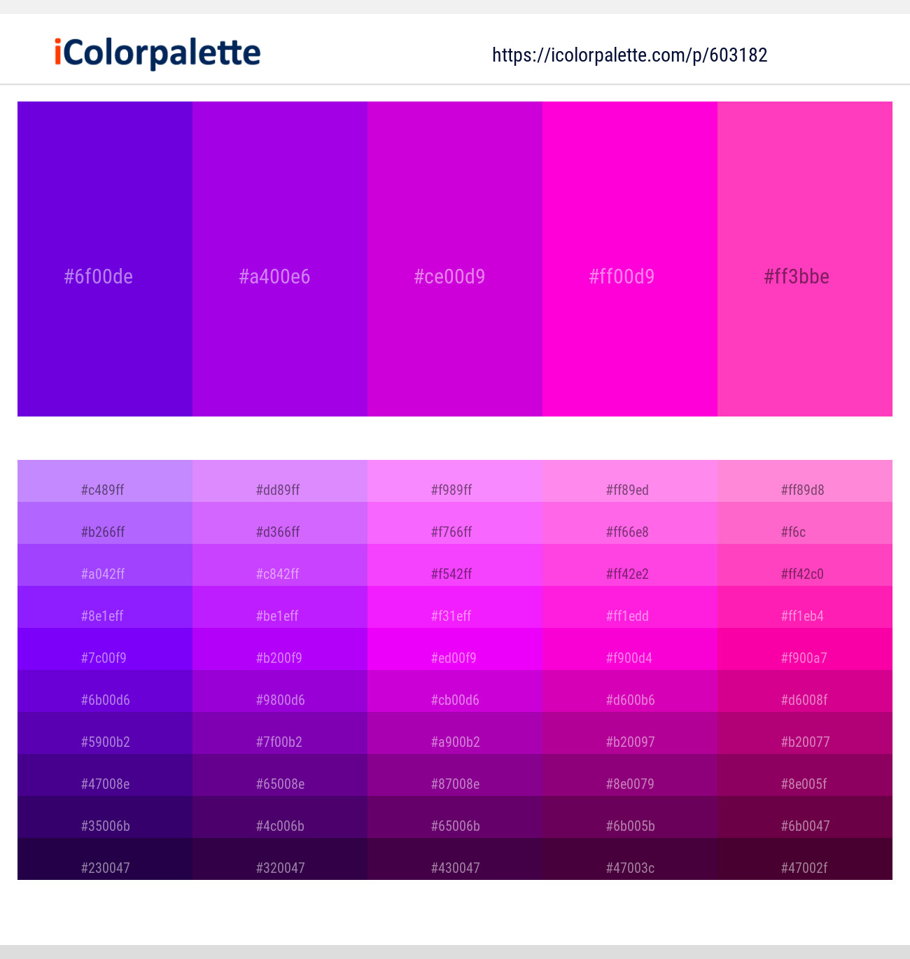 Electric Violet – Electric Violet – Purple Pizzazz – Purple Pizzazz – Razzle Dazzle Rose Color scheme