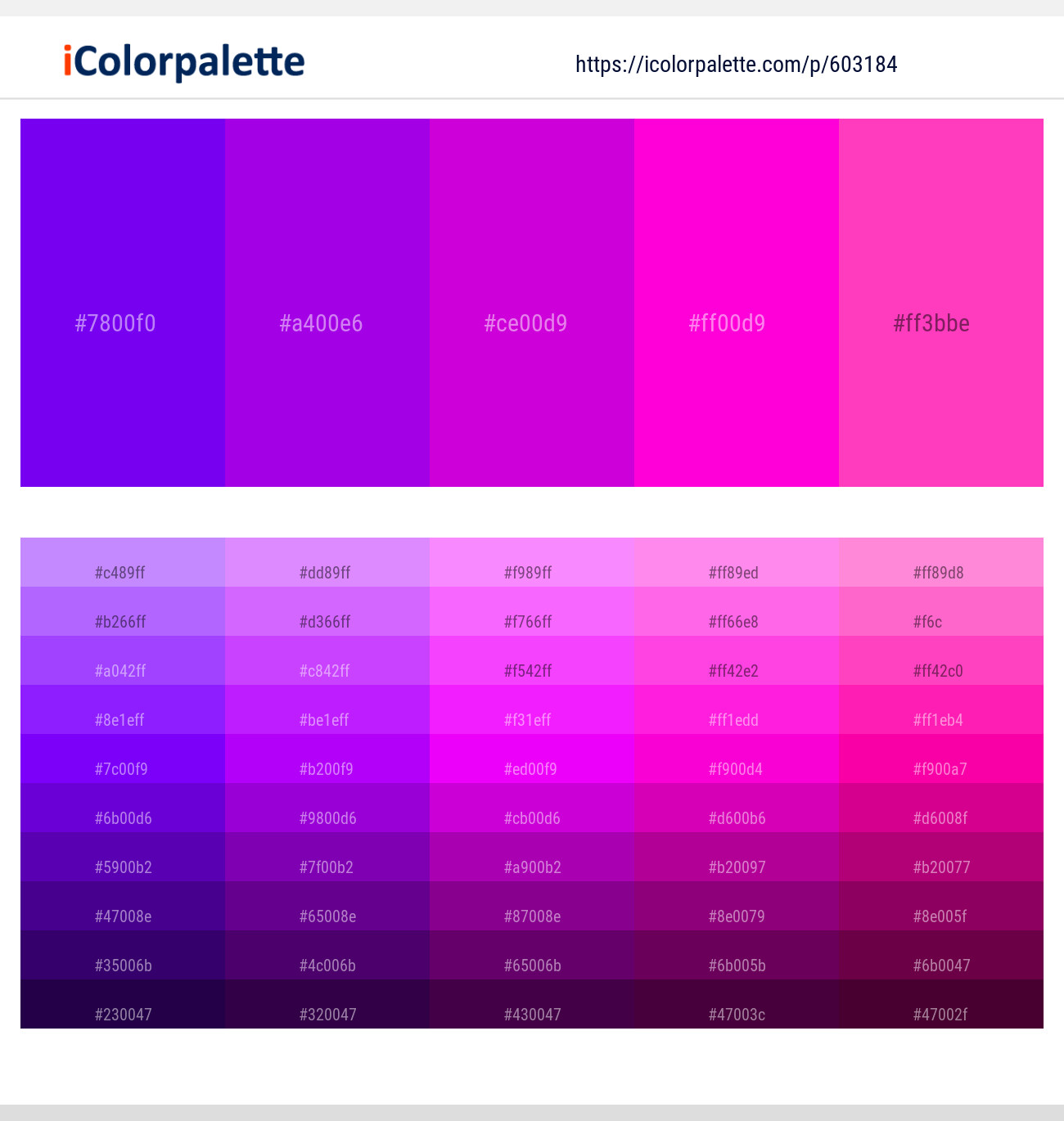 Electric Violet – Electric Violet – Purple Pizzazz – Purple Pizzazz – Razzle Dazzle Rose Color scheme