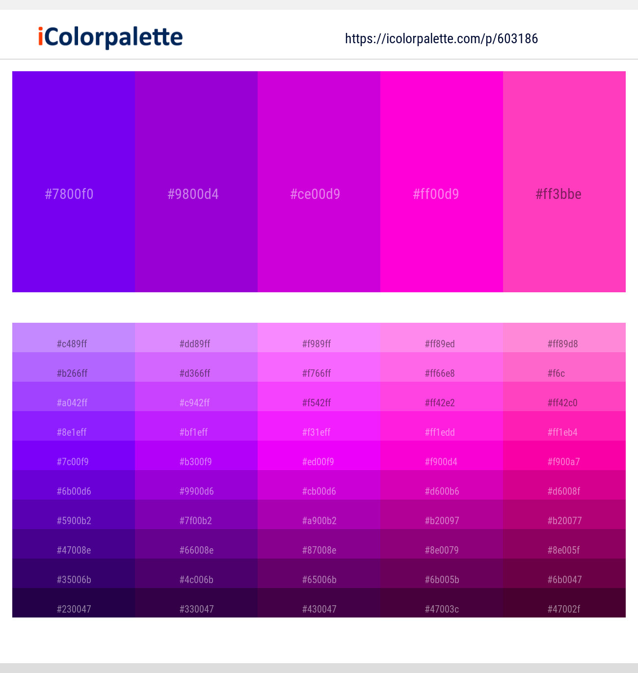 Electric Violet – Electric Violet – Purple Pizzazz – Purple Pizzazz – Razzle Dazzle Rose Color scheme