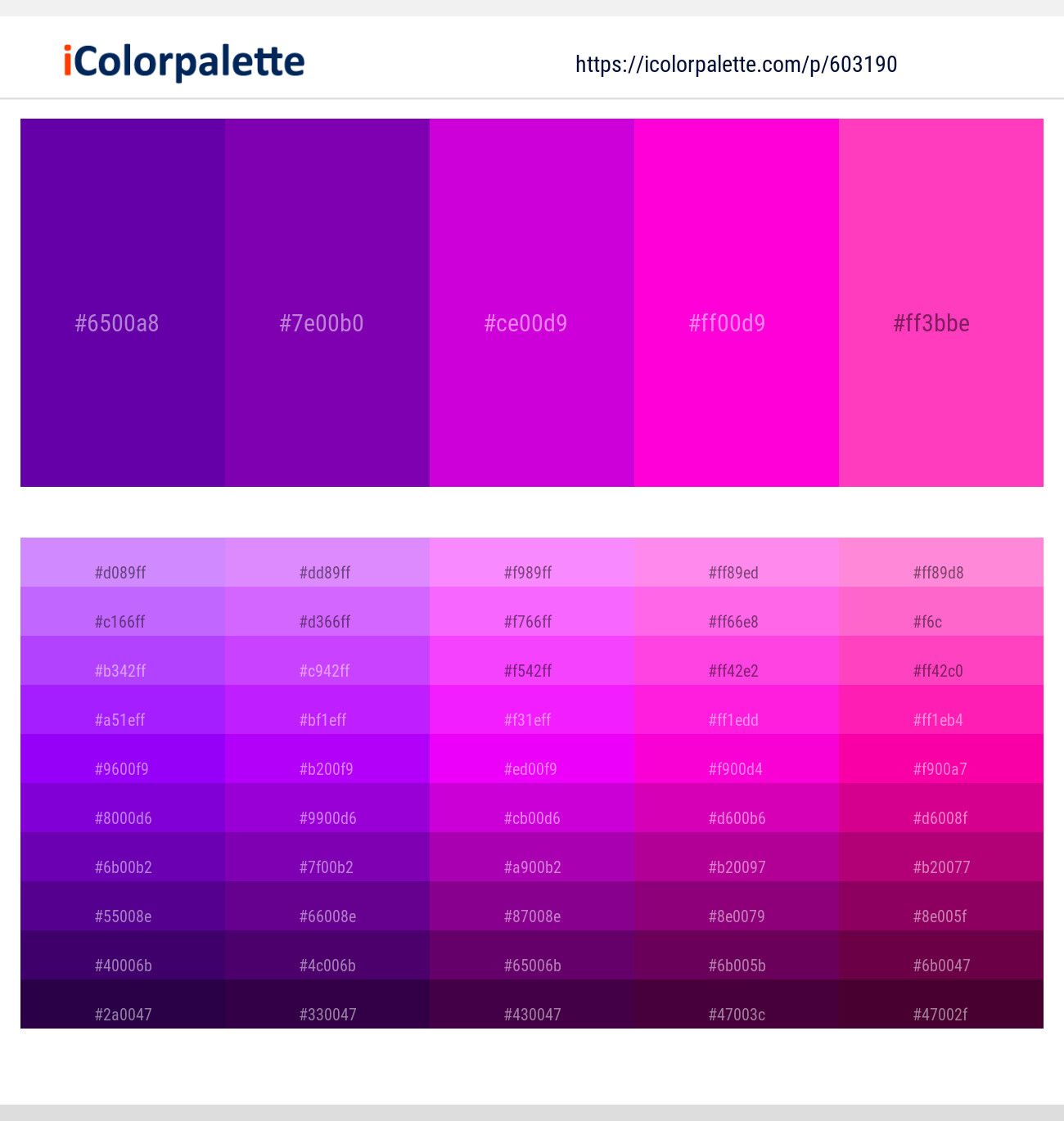 Purple – Purple – Purple Pizzazz – Purple Pizzazz – Razzle Dazzle Rose Color scheme