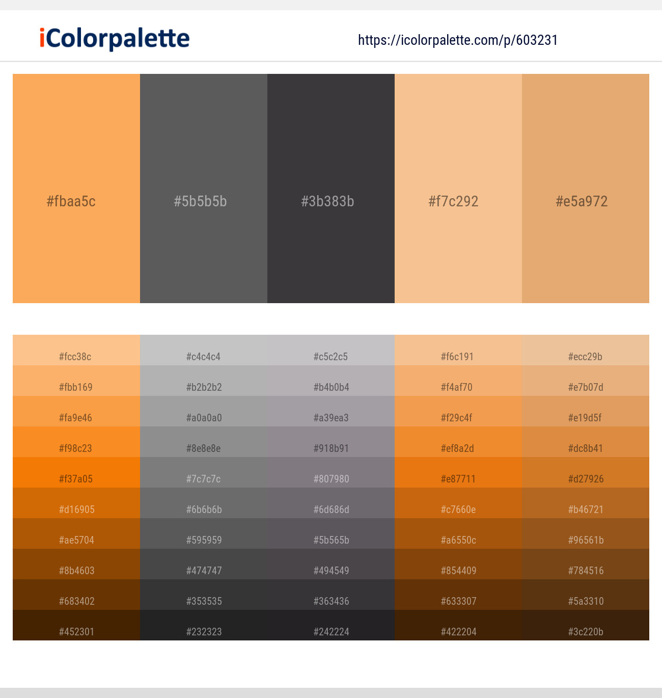 Tan Hide – Dorado – Gravel – Manhattan – Porsche Color scheme