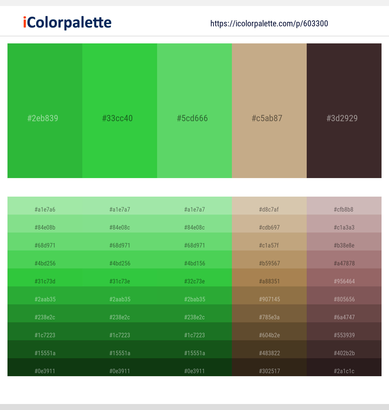 Apple – Apple – Pastel Green – Indian Khaki – Woody Brown Color scheme