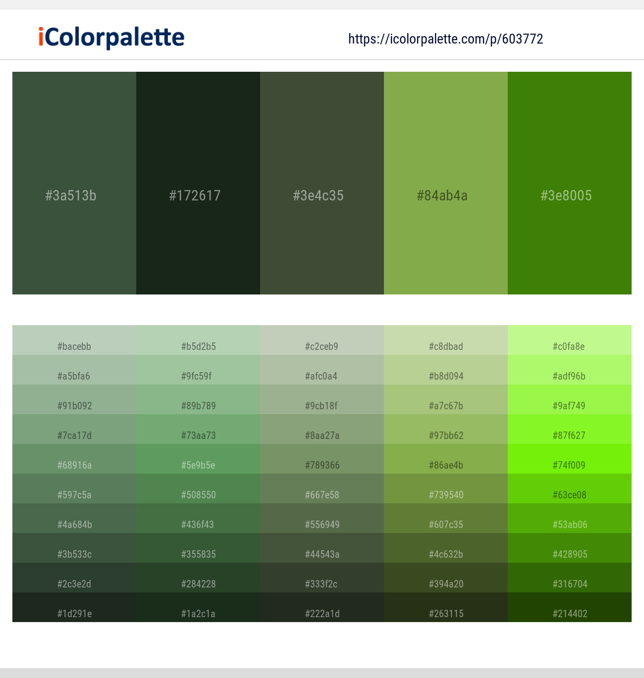 Tom Thumb – Racing Green – Cabbage Pont – Sushi – Green Leaf Color scheme