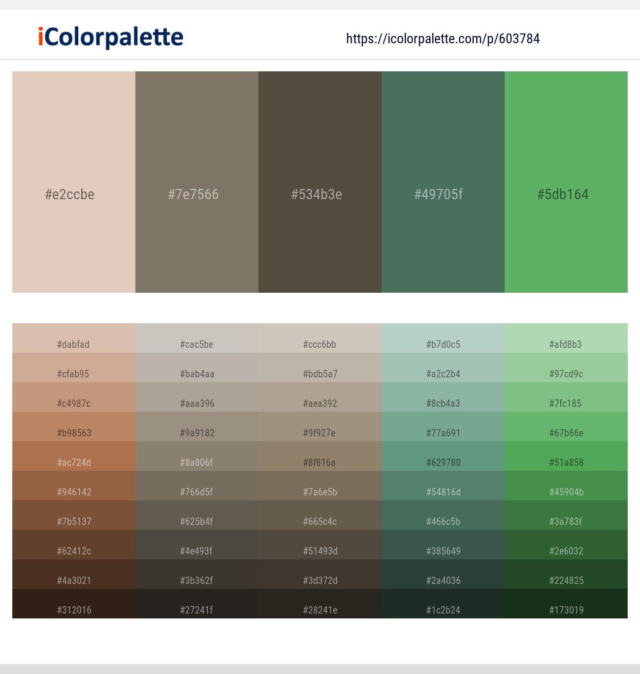 Bone – Pablo – Judge Gray – Como – Fern Color scheme