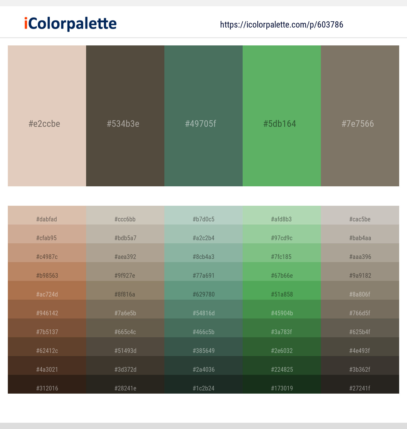 Bone – Judge Gray – Como – Fern – Pablo Color scheme