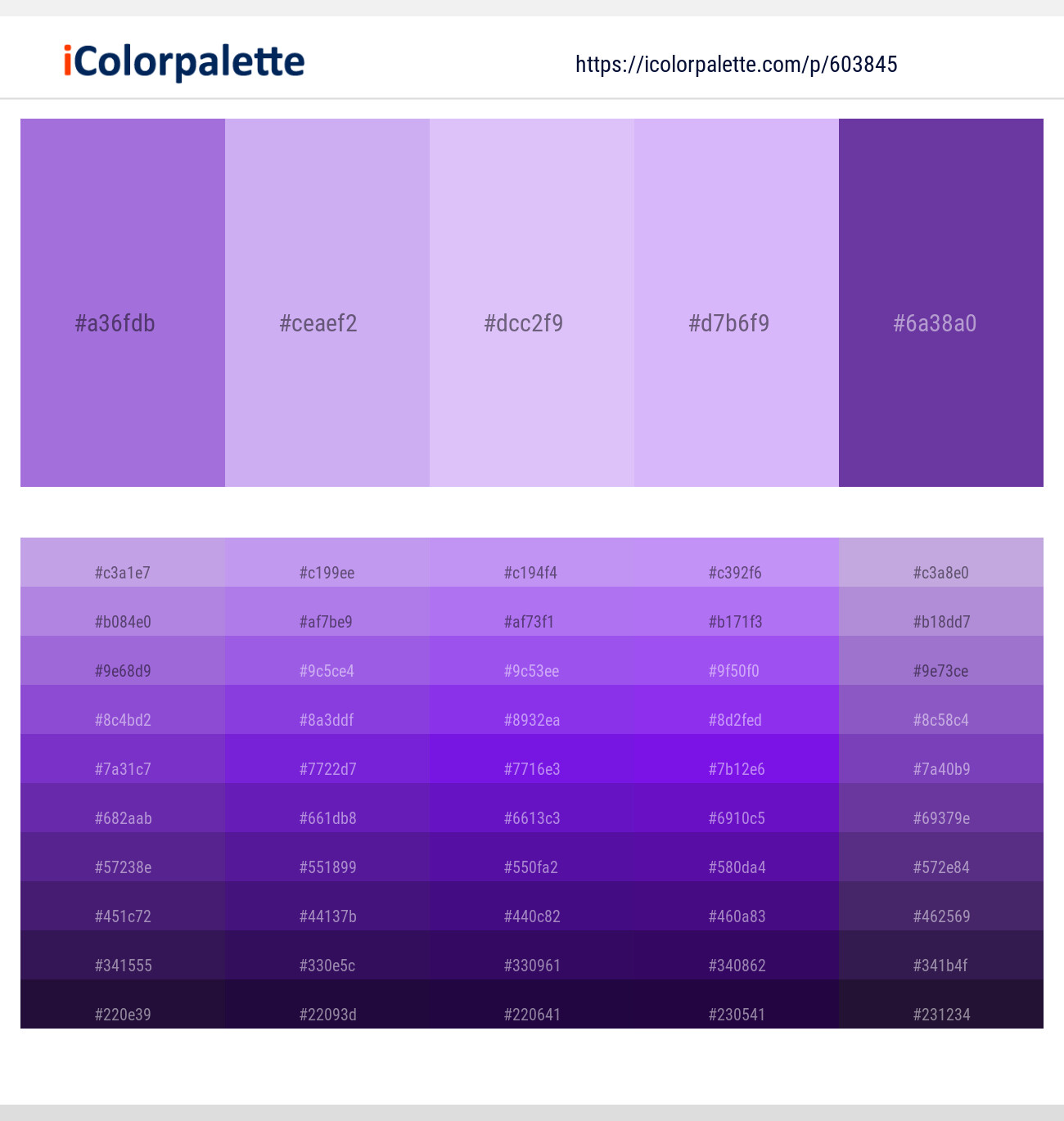 Lilac Bush – Perfume – Perfume – Perfume – Royal Purple Color scheme