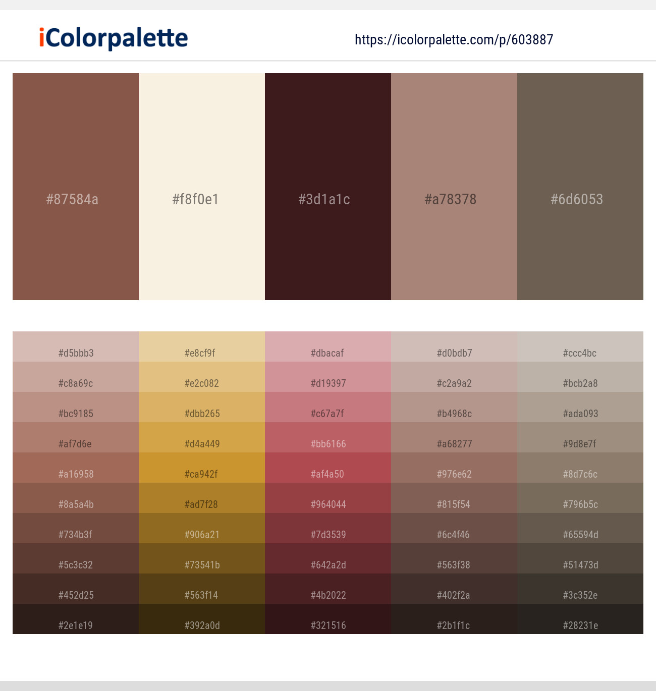 Spicy Mix – Quarter Spanish White – Crater Brown – Pharlap – Pine Cone Color scheme