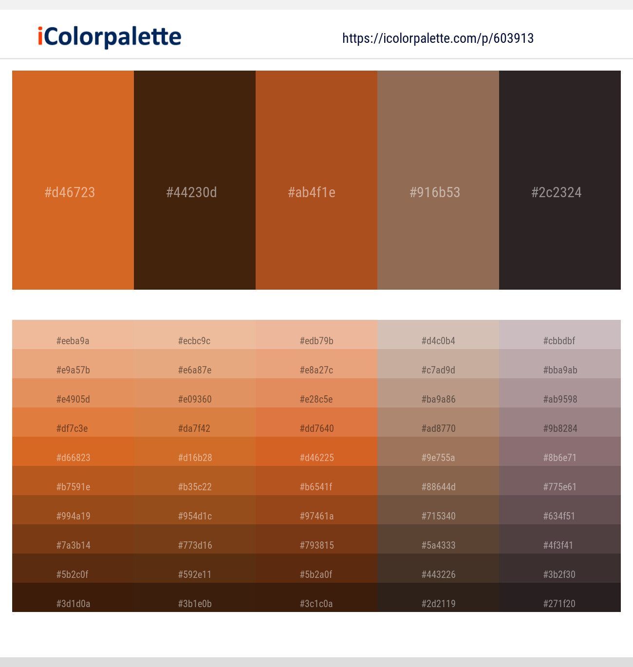 Hot Cinnamon – Bronze – Desert – Leather – Crater Brown Color scheme