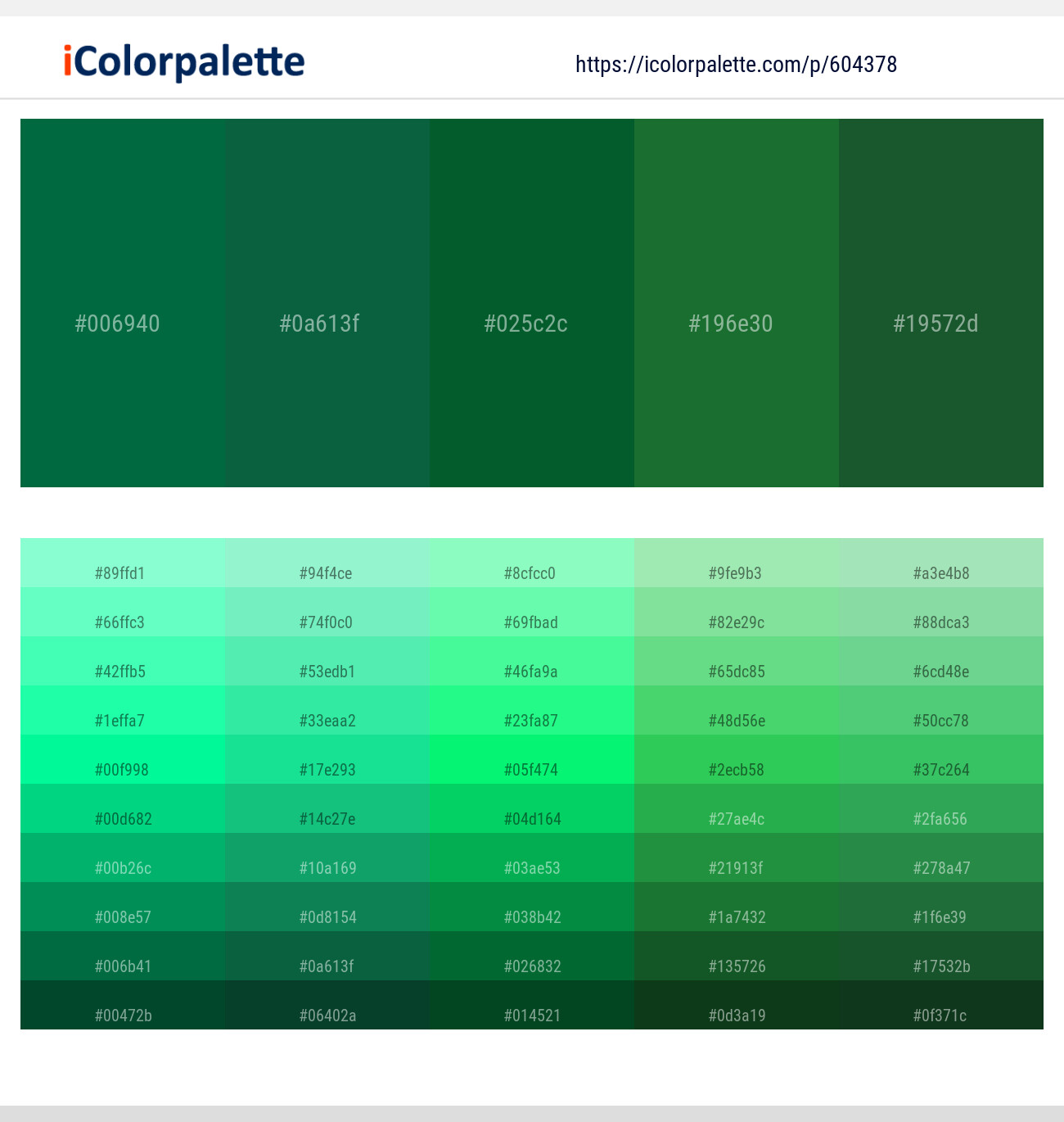 Fun Green – Jewel – Fun Green – Jewel – Parsley Color scheme