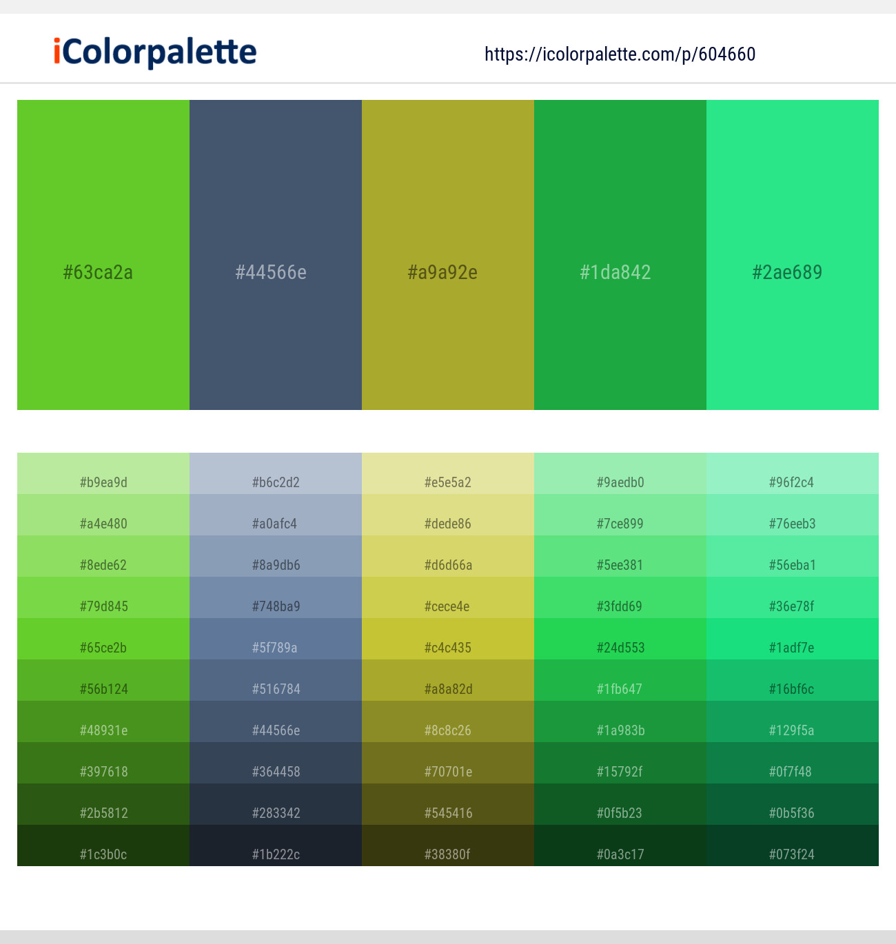 Lima – Fiord – Lemon Ginger – Eucalyptus – Shamrock Color scheme