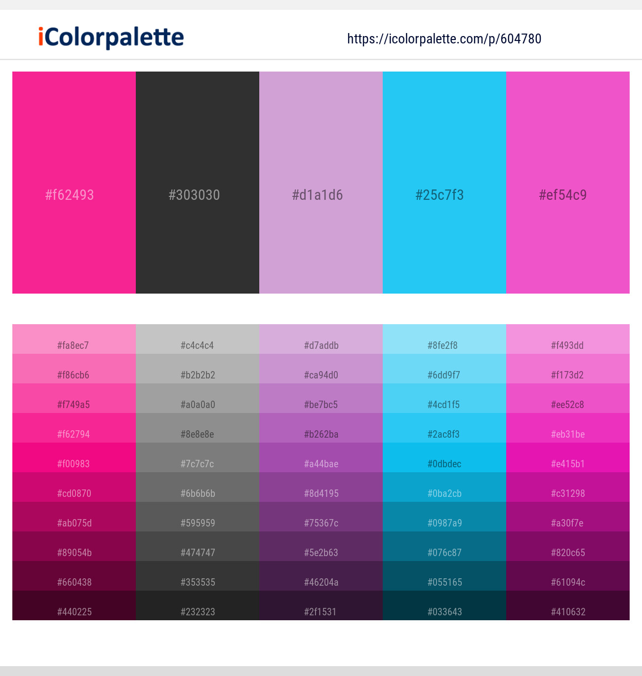 Persian Rose – Mine Shaft – Light Wisteria – Picton Blue – Brilliant Rose Color scheme