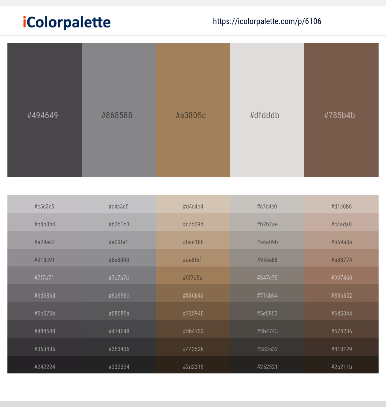 Tundora – Jumbo – Barley Corn – Westar – Roman Coffee Color scheme