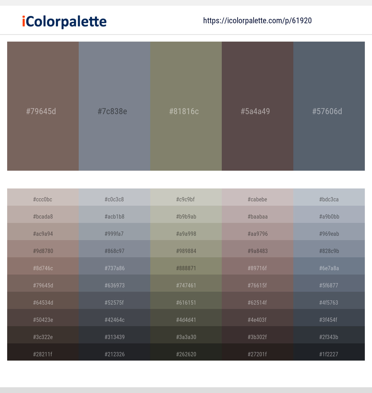 Russett – Raven – Bandicoot – Don Juan – Shuttle Gray Color scheme