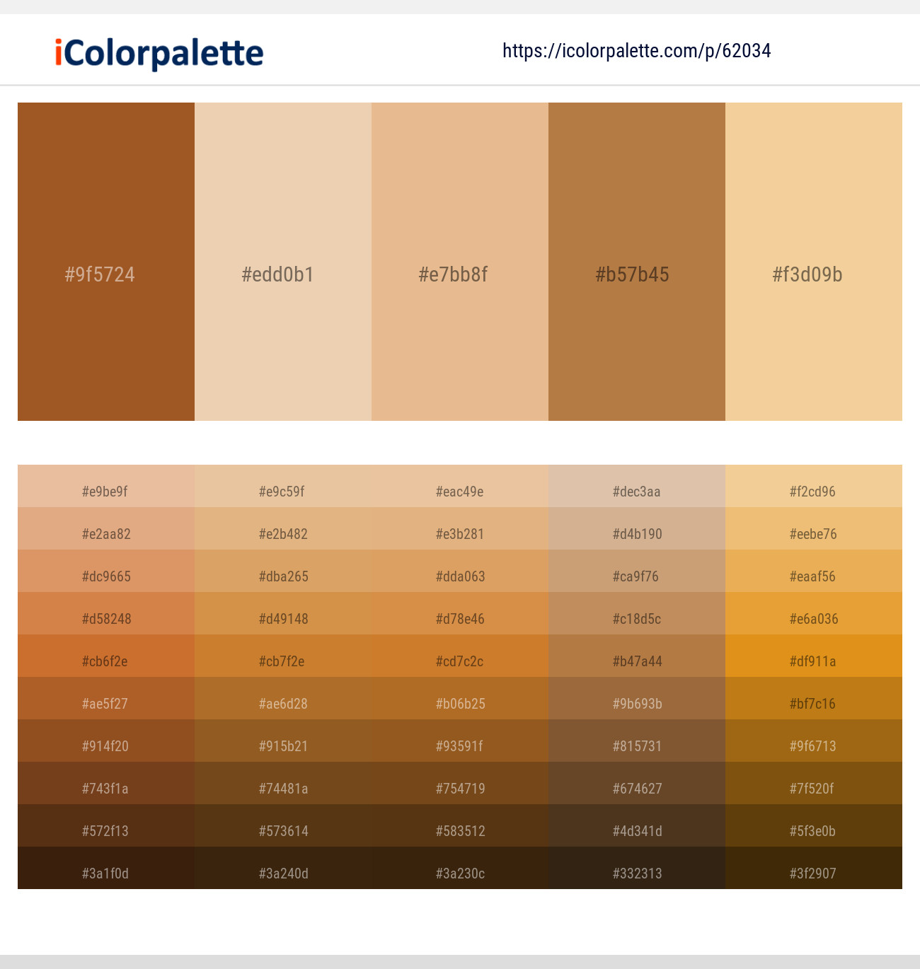 1 Latest Color Schemes With Desert Sand And Gold Sand Color Tone Combinations 21 Icolorpalette