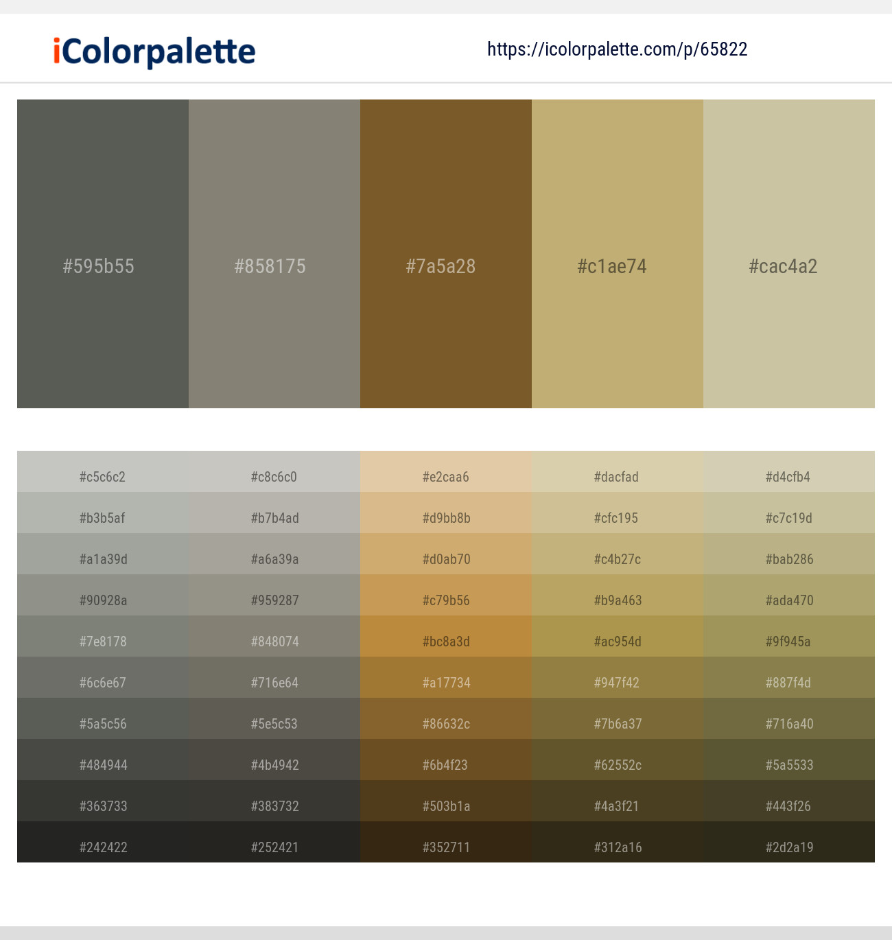 Chicago – Friar Gray – Dallas – Gimblet – Chino Color scheme