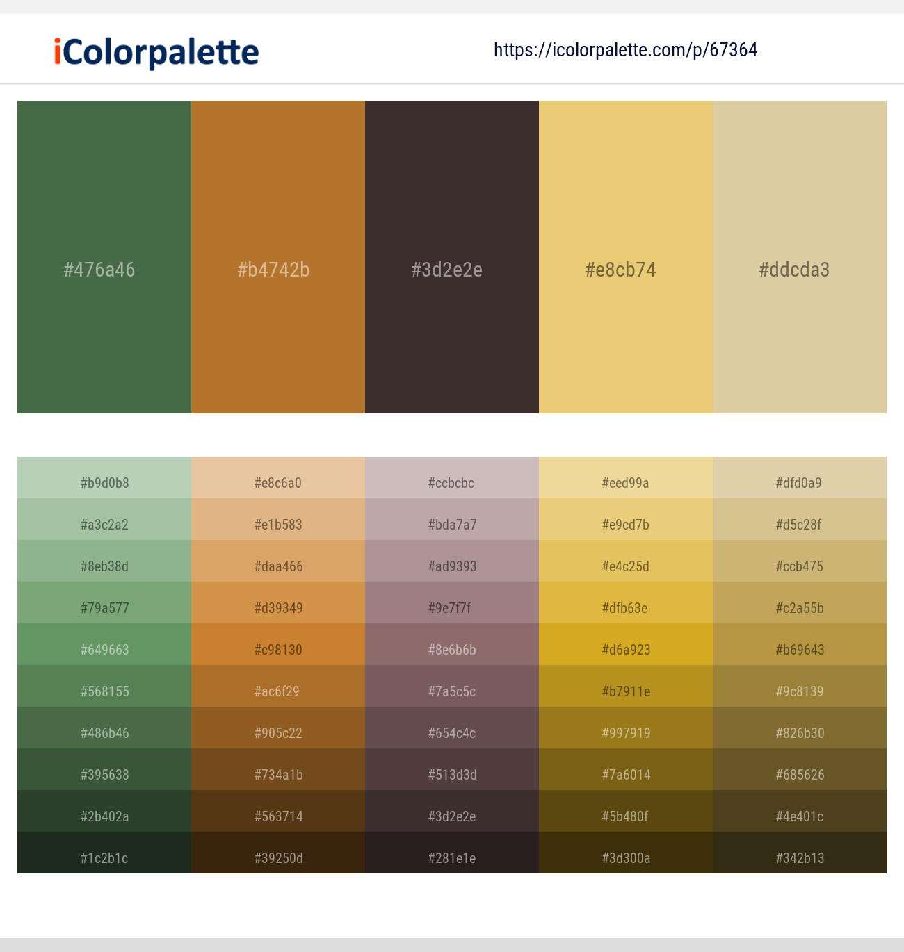 Axolotl – Copper – Woody Brown – Rob Roy – Sapling Color scheme