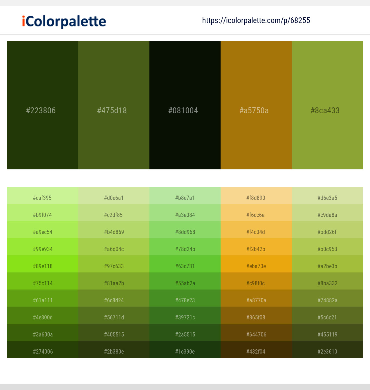 Pine Tree – Clover – Midnight Moss – Buttered Rum – Sushi Color scheme