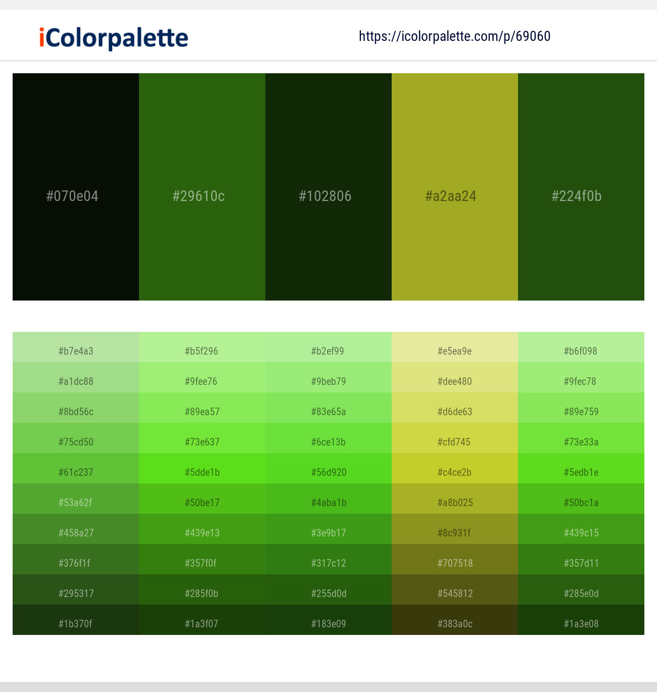 Midnight Moss – Green Leaf – Deep Forest Green – Citron – Green House Color scheme
