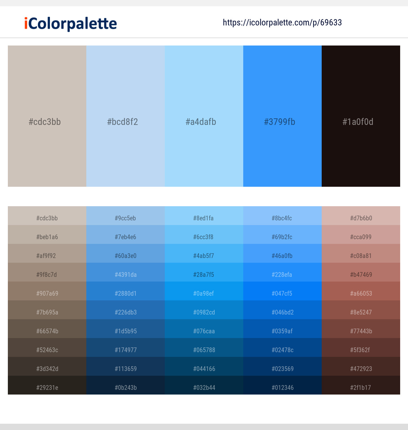 Silver Rust – Blizzard Blue – Anakiwa – Dodger Blue – Night Rider Color scheme