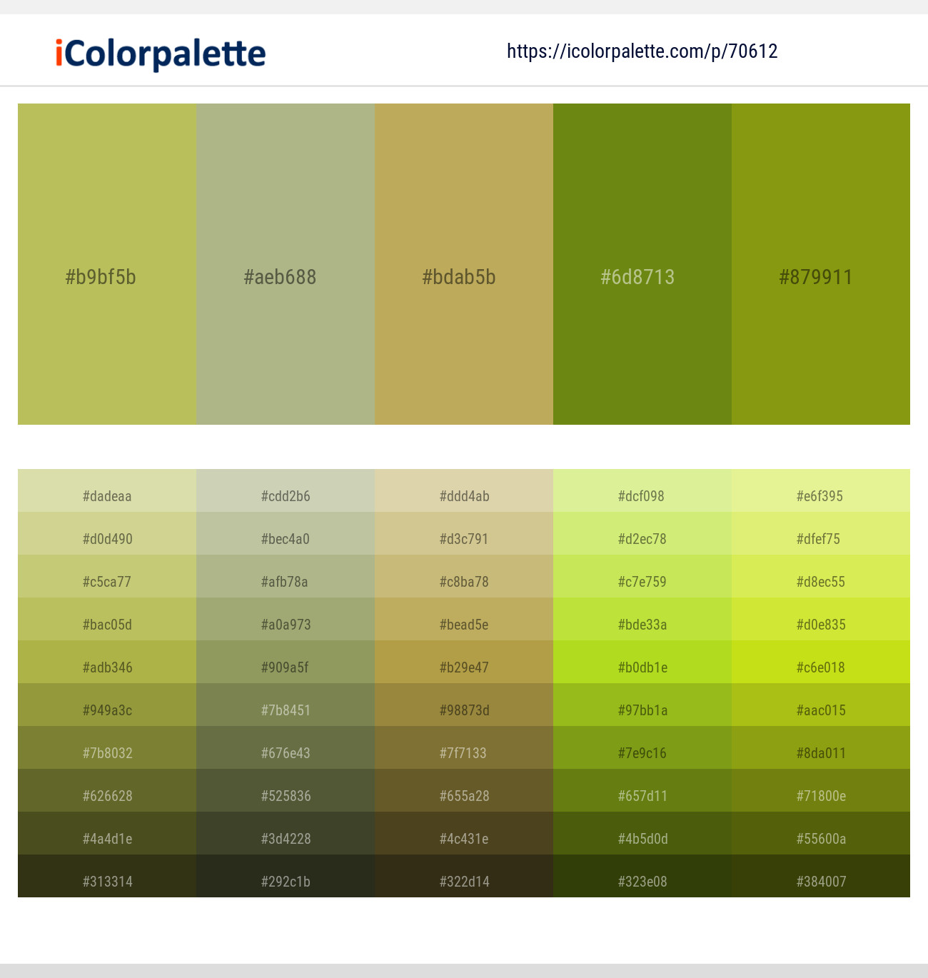 Celery – Swamp Green – Husk – Trendy Green – Christi Color scheme
