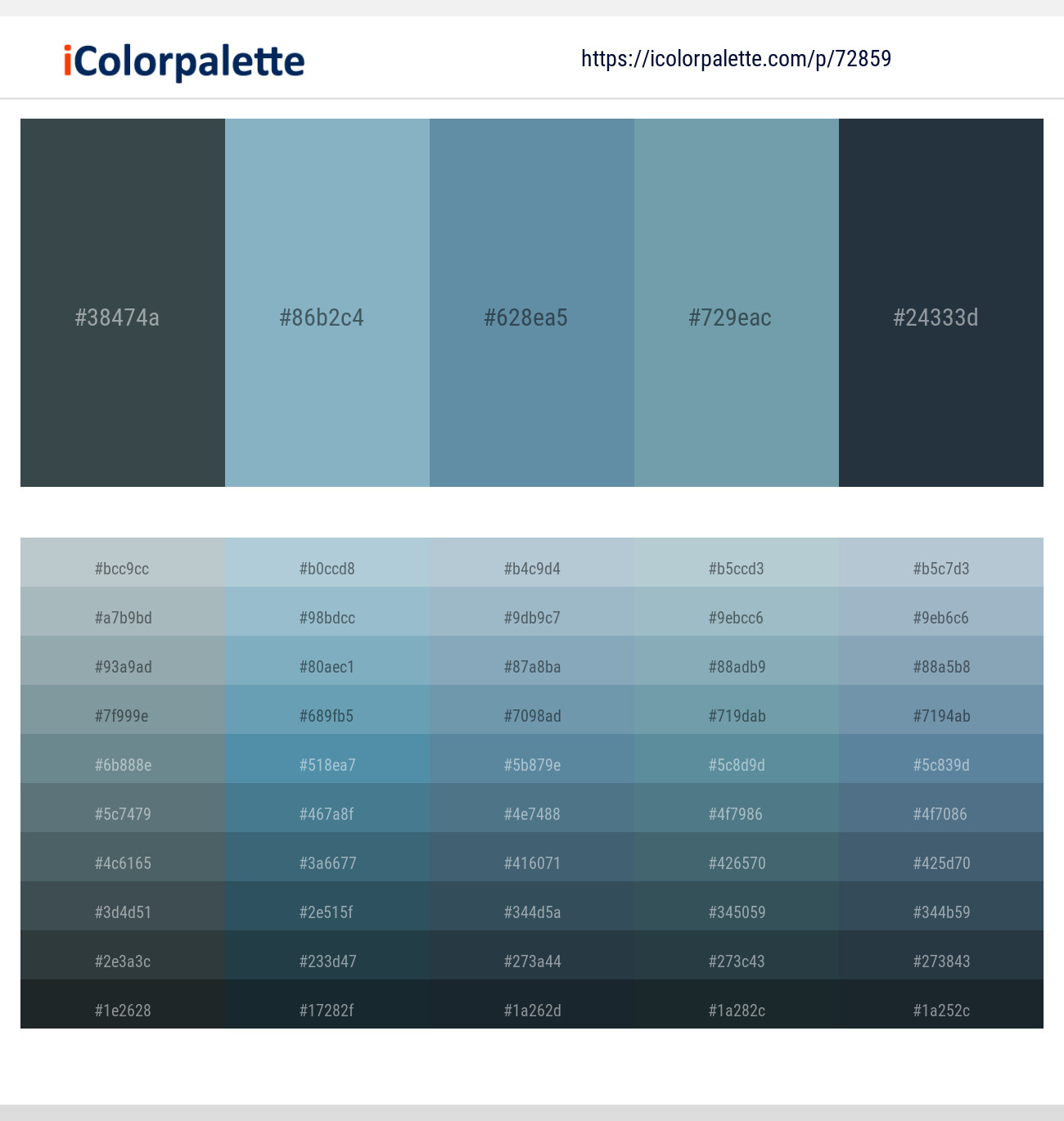 Limed Spruce – Glacier – Horizon – Gothic – Ebony Clay Color scheme