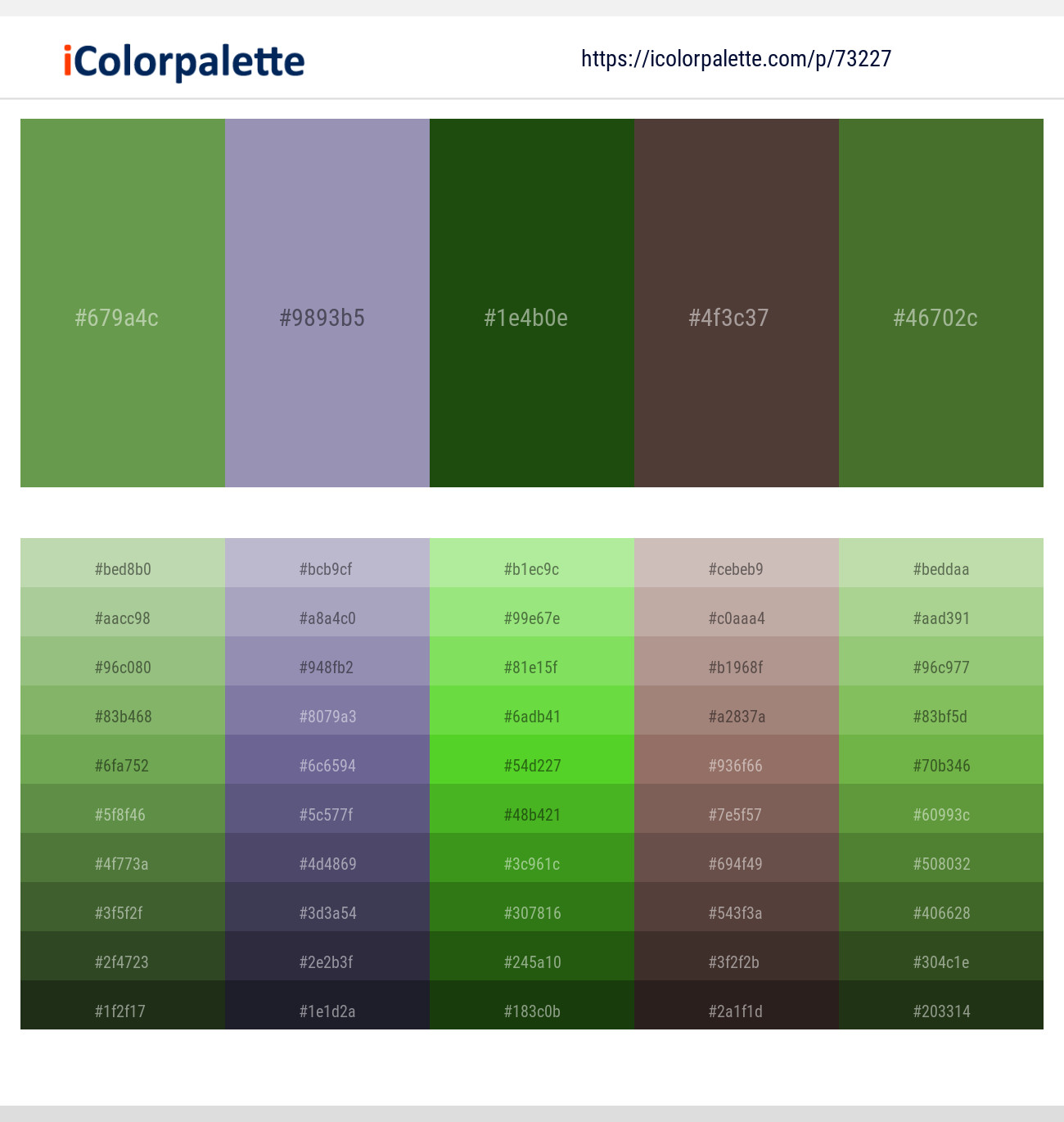 Asparagus – Amethyst Smoke – Green House – Rock – Woodland Color scheme