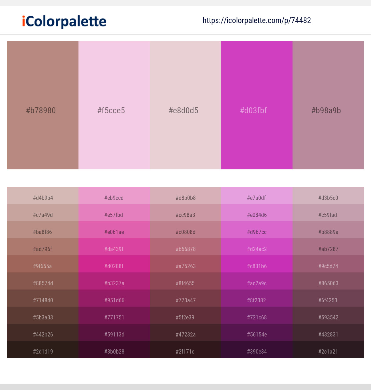 Brandy Rose – Cherub – Oyster Pink – Fuchsia Pink – Bouquet Color scheme