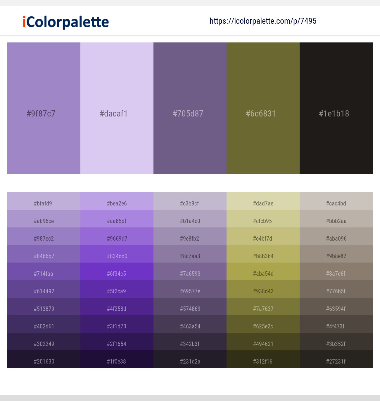 East Side – French Lilac – Rum – Yellow Metal – Zeus Color scheme