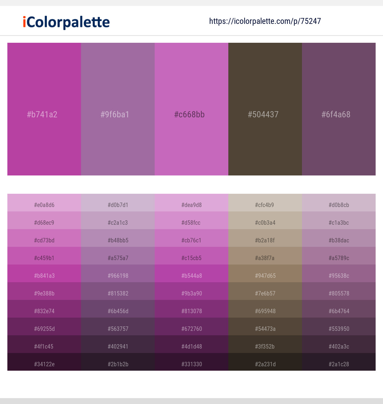 1 Latest Color Schemes with Fuchsia Pink And Taupe Color tone combinations, 2024